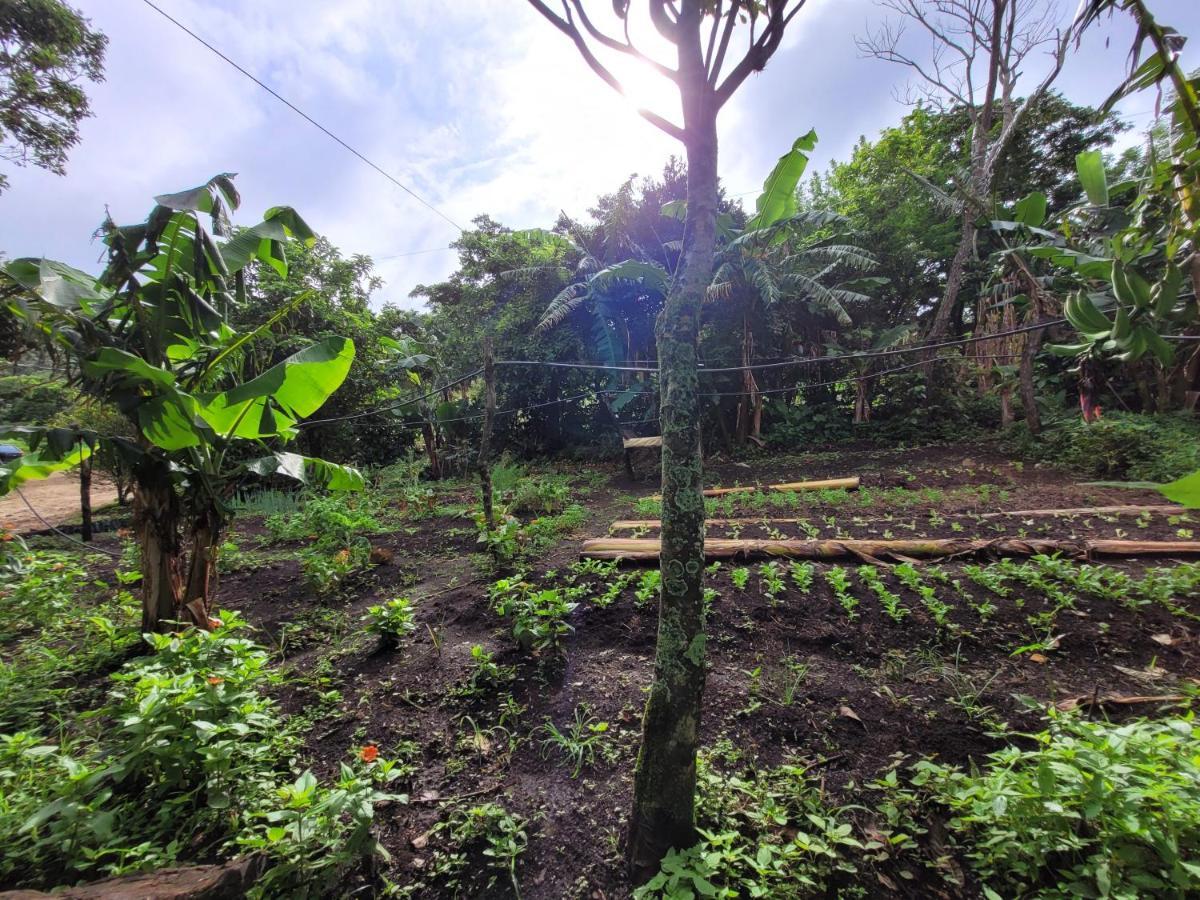Granja Los Campesinos Монте-Верде Экстерьер фото