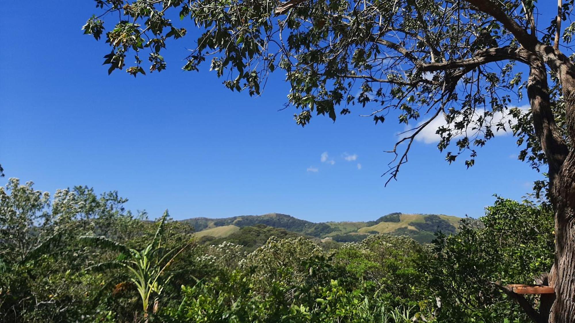 Granja Los Campesinos Монте-Верде Экстерьер фото